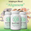 adaptogen blend – “alignment”