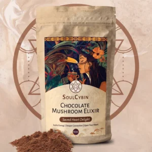 Chocolate Mushroom Elixir “Sacred Heart Delight”