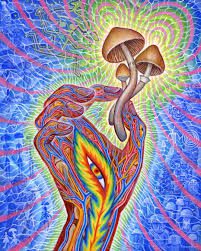 Read more about the article What Are the Best Psychedelic Mushrooms?